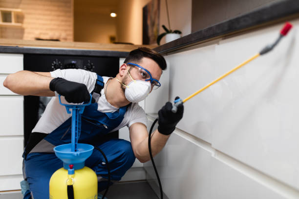 Best Bed Bug Extermination  in Haymarket, VA