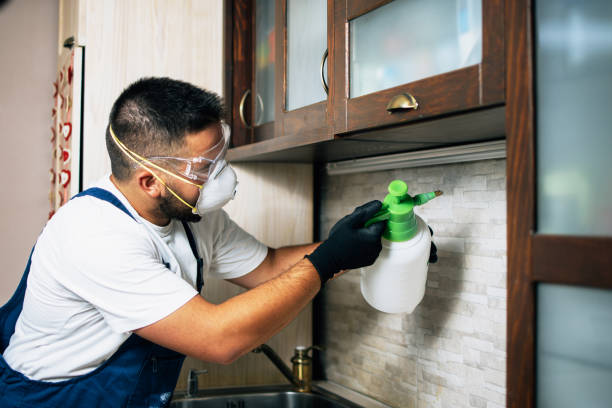 Best Local Pest Control Services  in Haymarket, VA