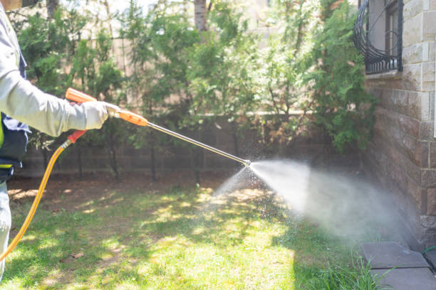 Best Exterminator Services  in Haymarket, VA