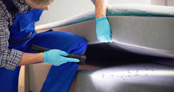 Best Termite Control Services  in Haymarket, VA