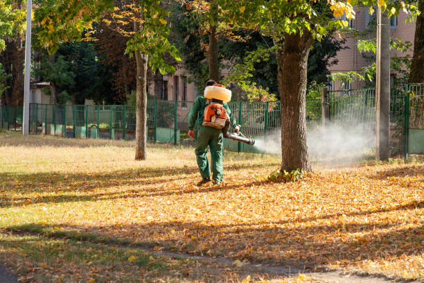 Best Flea Control Services  in Haymarket, VA