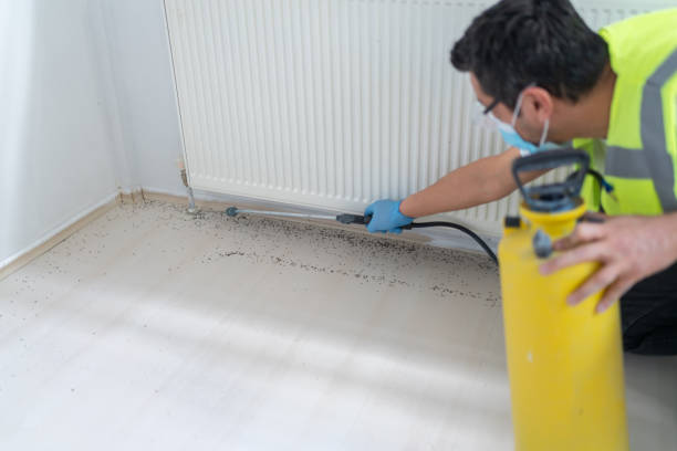 Best Commercial Pest Control Services  in Haymarket, VA